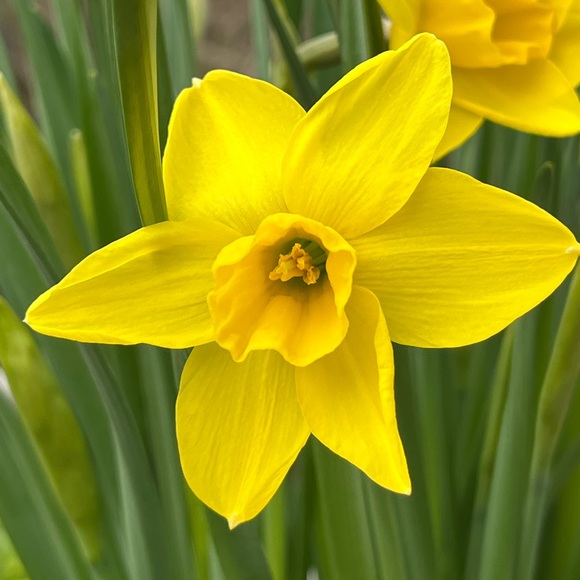 We’ll Soon Be Welcoming Summer 2024! 🦋🌸🌞 🛍️ 💫✨🎉 - Picture 9 of 16